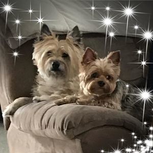 Meet your Posher, Abbey